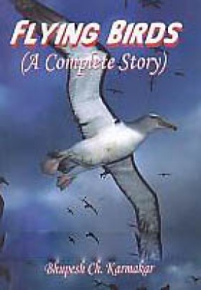 Flying Birds: A Complete Story