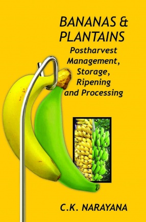 Bananas and Plantains: Postharvest Management, Storage, Ripening and Processing