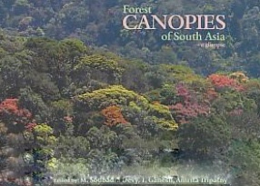 Forest Canopies of South Asia: A Glimpse