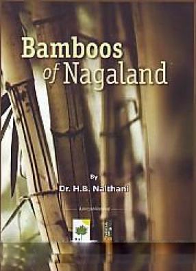 Bamboos of Nagaland