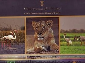Wild Fauna of Gujarat: A Visual Journey Through Wilderness of Gujara