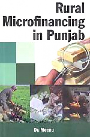 Rural Microfinancing in Punjab