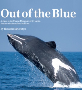 Out of the Blue: A Guide to the Marine Mammals of Sri Lanka, Southern India and the Maldives