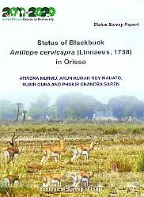 Status of Blackbuck: Antilope Cervicapra (Linnaeus, 1758) in Orissa