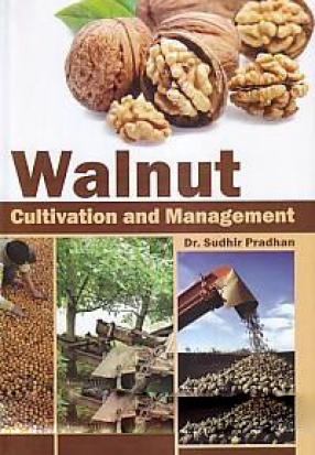 Walnut: Cultivation and Management