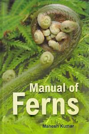 Manual of Ferns