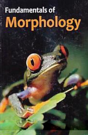 Fundamentals of Morphology