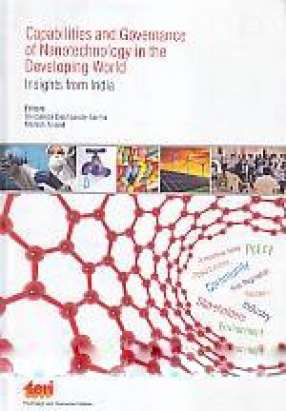 Capabilities and Governance of Nanotechnology in the Developing World: Insights from India