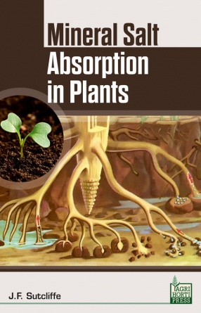 Mineral Salt Absorption in Plants