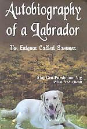 Autobiography of a Labrador: The Enigma Called Summer