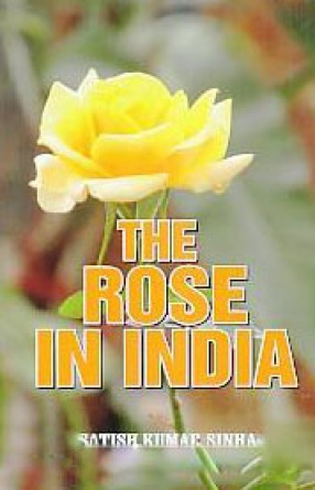 The Rose in India