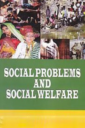 Social Problems and Social Welfare