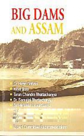 Big Dams and Assam
