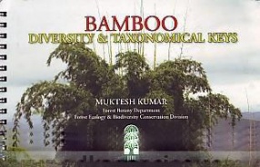 Bamboo Diversity and Taxonomical Keys