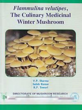 Flammulina Velutipes, The Culinary Medicinal Winter Mushroom