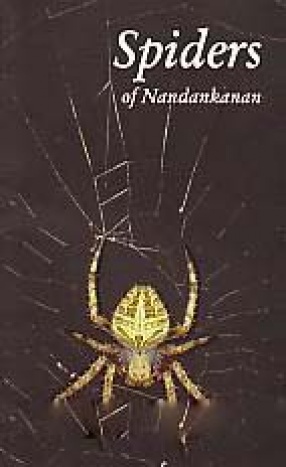 Spiders of Nandankanan