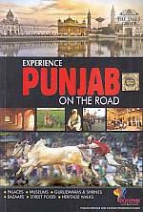 Experience Punjab on the Road