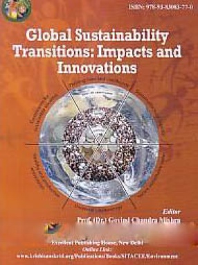 Global Sustainability Transitions: Impacts and Innovations