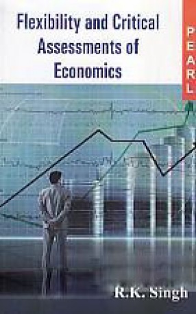 Flexibility and Critical Assessments of Economics