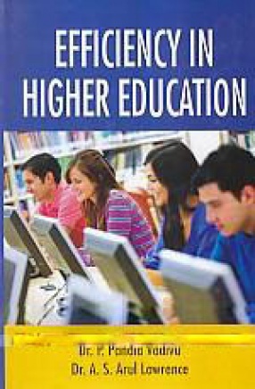 Efficiency in Higher Education