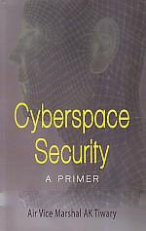Cyberspace Security: A Primer