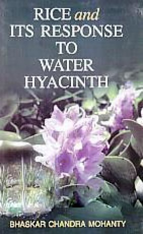 Rice and Its Response to Water Hyacinth