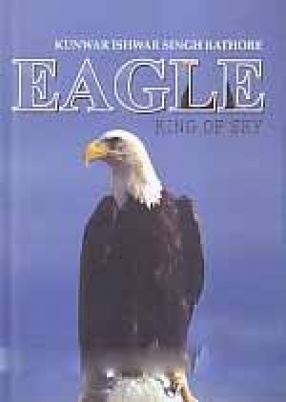 Eagle: King of Sky