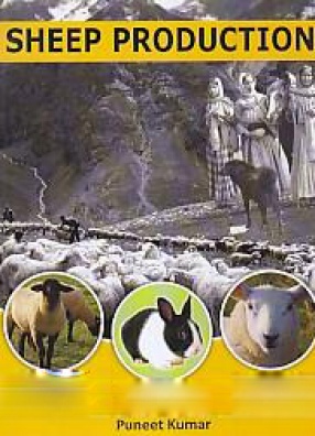 Sheep Production