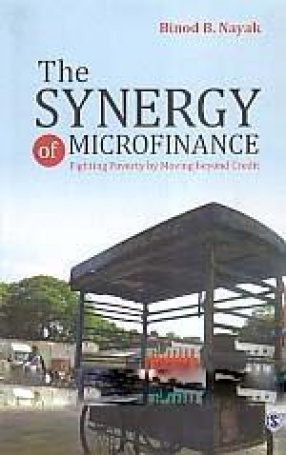 The Synergy of Microfinance: Fighting Poverty by Moving Beyond Credit