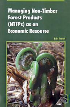 Managing Non-Timber Forest Products (NTFPs) As An Economic Resource