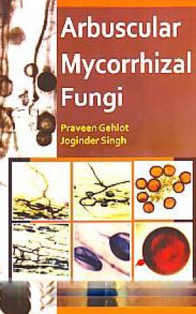 Arbuscular Mycorrhizal Fungi