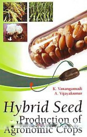 Hybrid Seed Production of Agronomic Crops