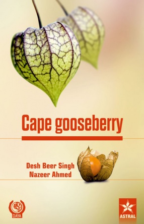 Cape Gooseberry