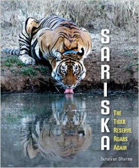 Sariska: The Tiger Reserve Roars Again