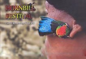 Hornbill Festival: Visual Renderings That Tell