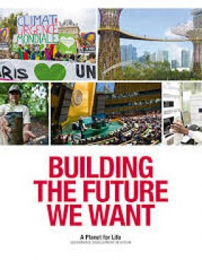 Building the Future We Want