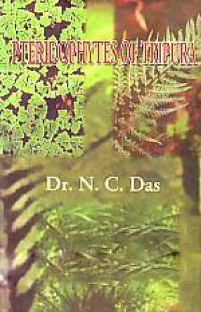 Pteridophytes of Tripura