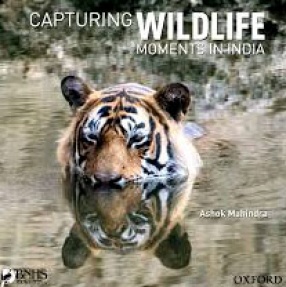 Capturing Wildlife Moments in India