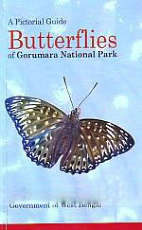 Butterflies of Gorumara National Park: A Pictorial Guide