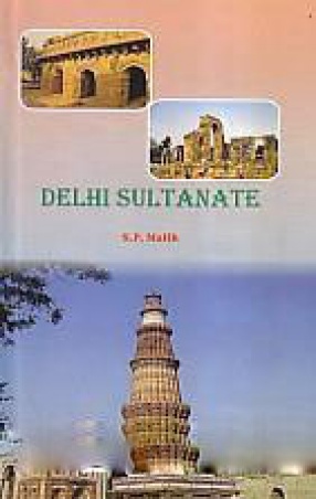 Delhi Sultanate