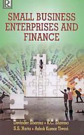 Small Business Enterprises and Finance