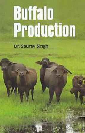 Buffalo Production