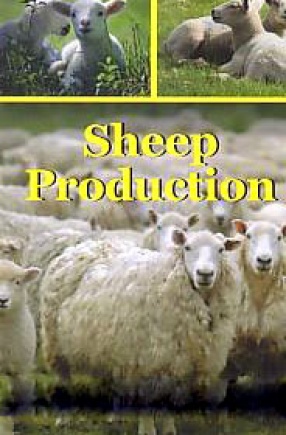 Sheep Production