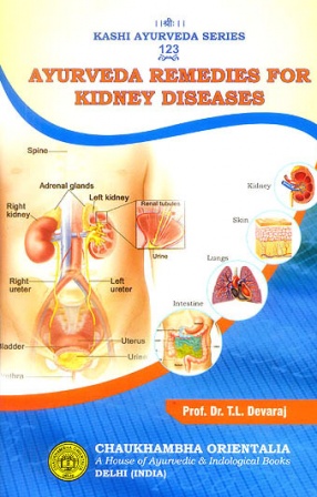 Ayurveda Remedies for Kidney Diseases