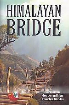 Himalayan Bridge