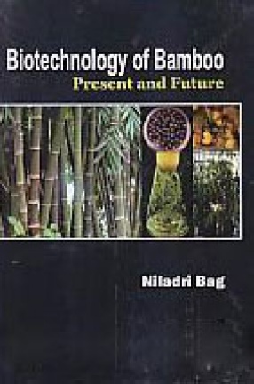 Biotechnology of Bamboo: Present and Future