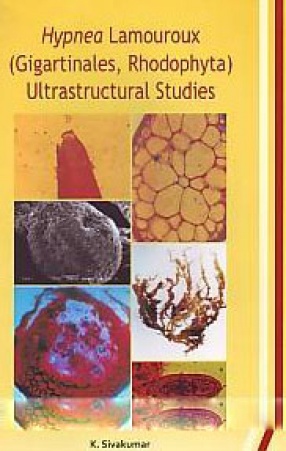 Hypnea Lamouroux (Gigartinales, Rhodophyta): Ultrastructural Studies