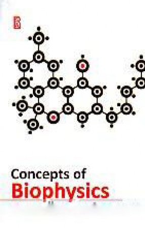 Concepts in Biophysics