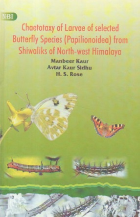 Chaetotaxy of Larvae of Selected Butterfly Species (Papilionoidea) From Shiwaliks of North-West Himalaya