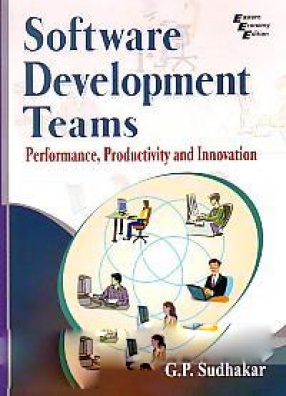 Software Development Teams: Performance, Productivity and Innovation